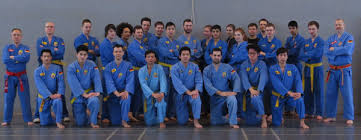 Vovinam (short for võ việt nam; Bild 1 Aus Beitrag Trainerlehrgang Fur Vovinam