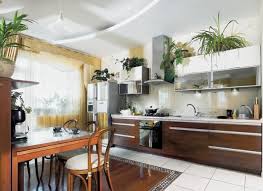 How To Decorate Kitchen With Green Indoor Plants And Save Money Kitchen Design Small Kitchen Decor Modern Home Decor Kitchen