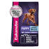 10 Best (Healthiest) Dog Foods for Large Breed Dogs in 2020