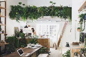 home inspo wohnung innenarchitektur ideen furs zimmer pflanzen