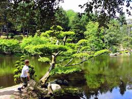 visite du parc oriental de maulevrier jardin japonais entree du jardin grand jardin