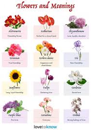 However, some denote specific aspects of the relationship. What Flower Represents First Love