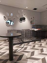 Here you can watch the event. Kvarken Link On Twitter At Aurora Botnia Our Best Friends Will Have An Own Stylish Lounge Wasaline Petlounge Newferry