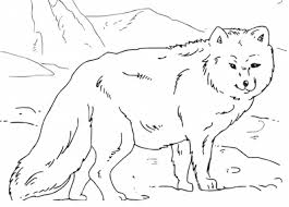 50+ vectors, stock photos & psd files. Mr Nussbaum Peregrine Falcon Coloring Page