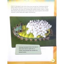Flying ant adalah peringkat kitaran hayat semut, di mana mereka telah mengembangkan sayap. Kitaran Hidup Serangga Shopee Malaysia