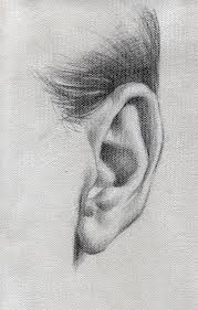 Draw Pattern Ear Study By Abdonjromero On Deviantart Codesign Magazine Daily Updated Magazine Celebrating Creative Talent From Around The World Realistic Drawings Art Drawings Sketches Anatomy Art