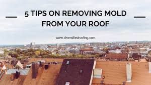 Mold removal with hydrogen peroxide. 5 Tips On Removing Mold From Your Roof Diversified Roofing