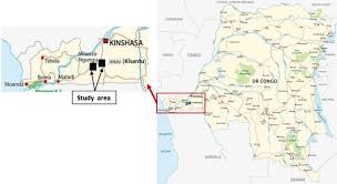 I sub what i like , free content no kecot no bacot. Ethnobotanical Characterization Of Medicinal Plants Used In Kisantu And Mbanza Ngungu Territories Kongo Central Province In Dr Congo Journal Of Ethnobiology And Ethnomedicine Full Text