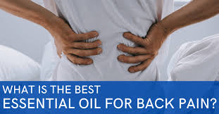 Is frankincense oil good for back pain? The Best Essential Oils For Back Pain Massage Gear Guru