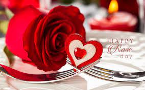 ✓ free for commercial use ✓ high quality images. Beautiful Valentine Day Rose Images Free Download Wallpaper