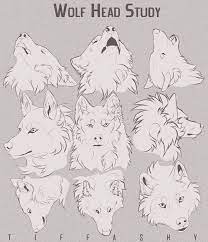 Learn how to draw wolf head step by step pictures using these outlines or print just for coloring. Pin On Artist S References Fantasy Manga Edition