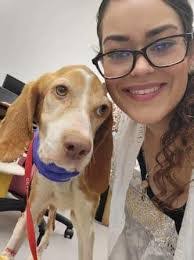 Brigitte Robbins's Instagram, Twitter & Facebook