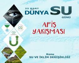 Afis Yarismasi Iklim Degisikligi Fotograf Yarismasi Fotograf