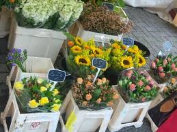 Image result for the hague