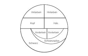 Jetzt ausprobieren mit ♥ chefkoch.de ♥. Zum Kindergeburtstag Kuchen In Drachenform Landkind
