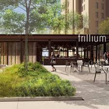 Trillium Brewing Company Plans Fenway Canton Expansions Eater Boston