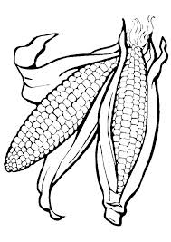 Maybe you would like to learn more about one of these? Ear Of Corn Coloring Page Derrickandmelisa
