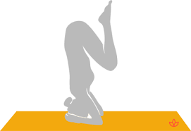 Maybe you would like to learn more about one of these? What Is Half Supported Headstand Definition From Yogapedia