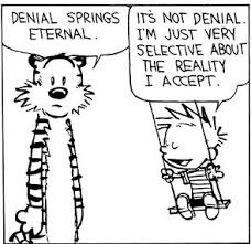 Calvin And Hobbes Denial 3 Of 3 Da Denial Springs Eternal It S Not Denial I M Just Funny Cartoons For Kids Calvin And Hobbes Quotes Calvin And Hobbes