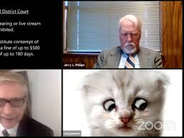 A video of rod ponton appearing as a cat during a virtual court session has been viewed millions of times online. Zoom Cat Lawyer Rod Ponton Has Controversial Prosecutor Past