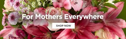 Select from premium palo alto of the highest quality. Same Day Flower Delivery In San Jose Ca 95126 By Your Ftd Florist Hill S Flowers And Events 408 295 6735