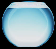 Download Fish Bowl With Water Icons Png Free Png And Icons Downloads
