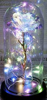 Special Galaxy Enchanted Rose Gift For Him Anniversary Birthday Valentinesday Enchanted Galaxy Gift Himanniversary Enchanted Rose Rose Gift Valentine Gifts