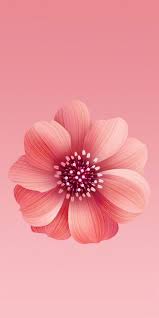 Xiaomi Mi 6x Stock Wallpaper 2 1080x2160 Flower Iphone Wallpaper Summer Wallpaper Phone Flower Wallpaper