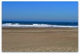 Maybe you would like to learn more about one of these? Ocean Beach San Francisco Things To See Do Here