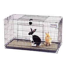 Wash out the food bowl (s). Precision Pet Rabbit Resort Rabbit Cage Petco