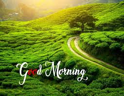 I tried to download my own instructable pdf with a custom download to include the images but none were included. Good Morning Nature Images Hd Quotes Free Download