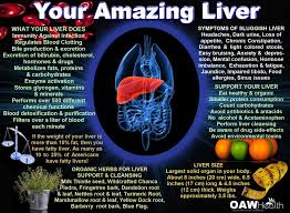 How To Get Rid Of Fatty Liver Disease Liver Health Liver Detox Healthy Liver