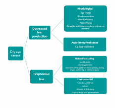 Dry Eye Can Be Caused By Many Different Factors As Flow