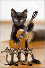 pin von munekiita auf animalitos gluckwunsche geburtstag lustig herzliche gluckwunsche zur geburt katzen