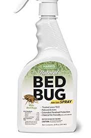 7 Best Bed Bug Sprays 2021 Bed Bug Killers
