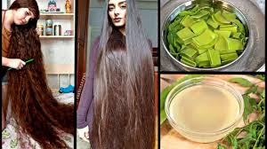 Just Apply This Oil To Your Scalp Grow Extremely Long Hair Stop Extreme Hair Fall Youtube Extreme Hair Long Hair Styles Extremely Long Hair