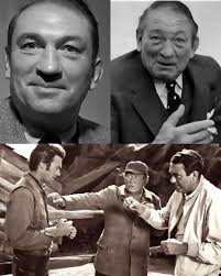 American tenor rises to operatic fame