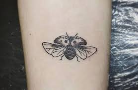 Black And White Ladybug Tattoo Ideas Pin By 4paws On Tattoos Lady Bug Tattoo Bug Tattoo Best Tattoo Ever