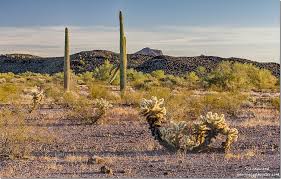 Find the best campgrounds & rv parks near casa grande, arizona. Kofa Nwr Sunrise Sunset The Moon And Hike Palm Canyon Geogypsy