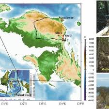 Indonézia, dlhý tvar indonézska republika, je štát v juhovýchodnej ázii a oceánii tvorený 17 508 ostrovmi. Pdf Carbon Stock Measurements Of A Degraded Tropical Logged Over Secondary Forest In Manokwari Regency West Papua Indonesia