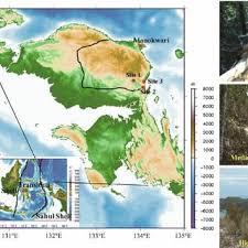 Get each & every shipment details from bill of lading data of pt borneo tw do group. Pdf Carbon Stock Measurements Of A Degraded Tropical Logged Over Secondary Forest In Manokwari Regency West Papua Indonesia