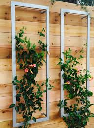 Black And Decker Plant In Texas A Pair Of Ina Wall Trellises Create A Lovely Vertical Garden Tapestry Woven With Beautiful Distictus Trumpet Vin Urban Garden Design Wall Trellis Modern Garden