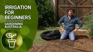 The hardware for the garden irrigation will be even simpler than this. Irrigation Made Easy Here S How You Install Irrigation Youtube