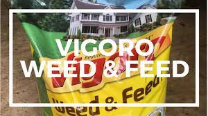 Maybe you would like to learn more about one of these? Vigoro Weed And Feed Review Youtube