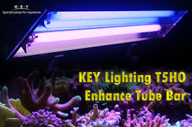 Key Lighting T5ho Enhance Tube Bar