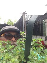 Check spelling or type a new query. Kebunmini Herbs Or Herba Posts Facebook