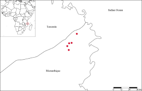 Image result for Ochna dolicharthros