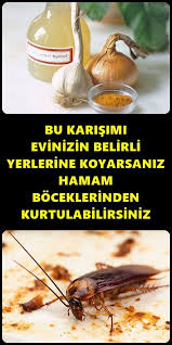 Hamam Boceklerinden Sonsuza Kadar Kurtulun Homemade Skin Care Food Homemade
