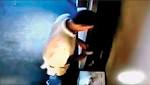 Delhi: held stealing ancient exhibit