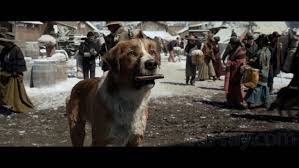 Harrison ford, dan stevens, colin woodell and others. The Call Of The Wild 4k Blu Ray Release Date May 12 2020 4k Ultra Hd Blu Ray Digital Hd